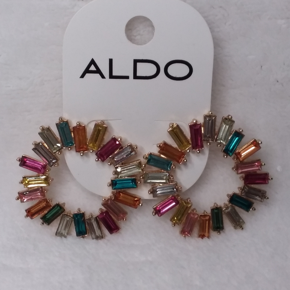 Hoop Pierce Earrings Multi-color Baguettes Aldo